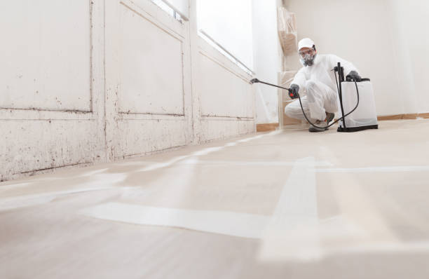 24/7 Emergency Black Mold Remediation experts in Fountainville, PA